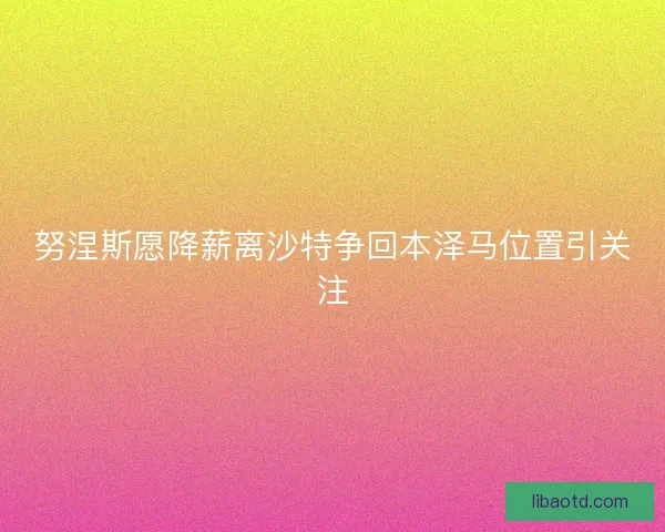 努涅斯愿降薪离沙特争回本泽马位置引关注